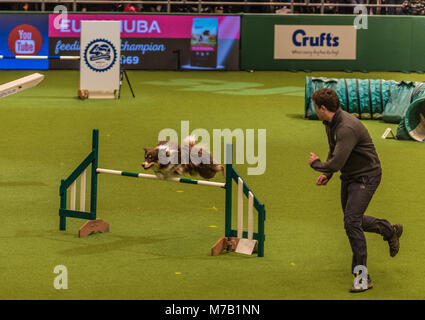 Birmingham, Großbritannien. 9 Mär, 2018. Der crufts Dog Show in Birmingham UK. agility Hunde Wettbewerb in der Main Arena in diesem Jahr auf der Crufts Dog Show Birminghams am NEC. Credit: charlie Bryan/Alamy leben Nachrichten Stockfoto