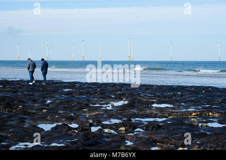 Prähistorische versteinerter Wald ausgegraben am Strand Redcar, Großbritannien, durch Sturm Emma zieht Hunderte von Besuchern die versteinerten Bäume und Schiffbruch zu sehen Stockfoto