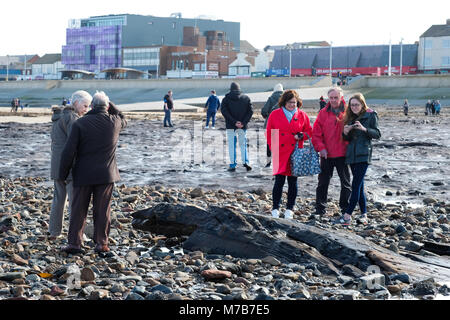 Prähistorische versteinerter Wald ausgegraben am Strand Redcar, Großbritannien, durch Sturm Emma zieht Hunderte von Besuchern die versteinerten Bäume und Schiffbruch zu sehen, bevor es wieder von Sand bedeckt ist. 9. März 2018. Karen Turner/Alamy leben Nachrichten Stockfoto