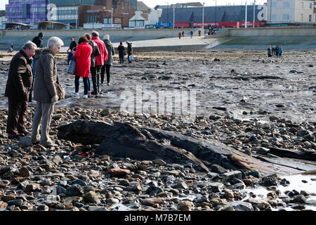 Prähistorische versteinerter Wald ausgegraben am Strand Redcar, Großbritannien, durch Sturm Emma zieht Hunderte von Besuchern die versteinerten Bäume und Schiffbruch zu sehen, bevor es wieder von Sand bedeckt ist. 9. März 2018. Karen Turner/Alamy leben Nachrichten Stockfoto