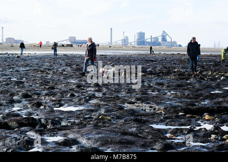 Prähistorische versteinerter Wald ausgegraben am Strand Redcar, Großbritannien, durch Sturm Emma zieht Hunderte von Besuchern die versteinerten Bäume und Schiffbruch zu sehen, bevor es wieder von Sand bedeckt ist. 9. März 2018. Karen Turner/Alamy leben Nachrichten Stockfoto