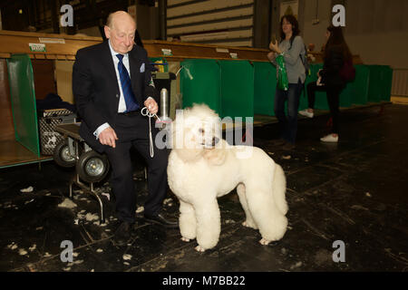 Birmingham, UK, 10. März 2018, Pudel auf der Crufts in Birmingham NEC. Die jährlichen größten Hundeausstellung der Welt, in der über 22.000 Hunde für den weltberühmten Titel der Crufts Best in Show Champion konkurrieren. Es gibt auch Hunderte von Handel steht mit Alles für Hunde- Liebhaber zu durchsuchen. Wer einen Welpen kaufen können über 200 verschiedene Hunderassen an der entdecken Hund treffen. Die Show läuft noch bis zum 11. März 2018 und ist ein lustiger Familienausflug © Keith Larby/Alamy leben Nachrichten Stockfoto