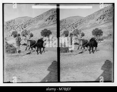 Zeichen und Industrie usw. Dreschen an Yammuneh matpc02209 es LOC. Stockfoto