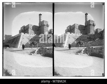 Zitadelle von Zion. Jerusalem. Ein Kamel LOC 04242 matpc. Stockfoto