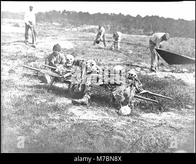 Cold Harbour, Virginia. Afrikanische Amerikaner sammeln Knochen der Soldaten in der Schlacht LOC cwpb getötet. 04324 Stockfoto