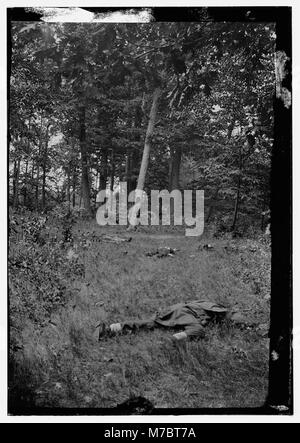 Ein düsteres Bild aus der ersten Schlacht am Bull Run, das gefallene Soldaten auf dem Schlachtfeld zeigt und die harten Realitäten des Krieges während des Amerikanischen Bürgerkriegs widerspiegelt. Stockfoto