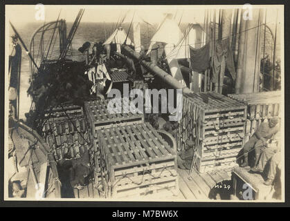 803Rd Pionier Infanterie Bataillon auf die U.S.S. Philippinische (truppentransporter) Hafen von Brest, Frankreich, 18. Juli, 1919). 29 LCCN 2010651612 Stockfoto