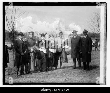 Standort. Forstwirtschaft Armee baumpflanzung am Walter Reed, 4-16-20 LCCN 2016827740 Stockfoto