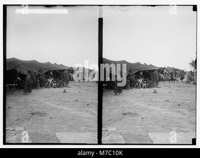 Um das Tote Meer. Beduinen Camp an Ghor Es-Safieh matpc 01789 Loc. Stockfoto