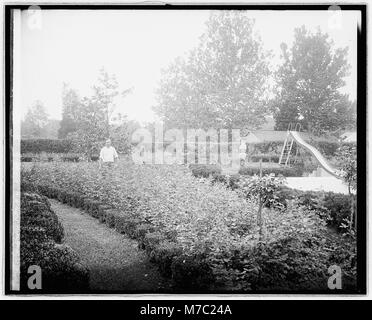 Balderson & Hayden, Swift & Co Ed McLean, Freundschaft LCCN 2016826509 Stockfoto