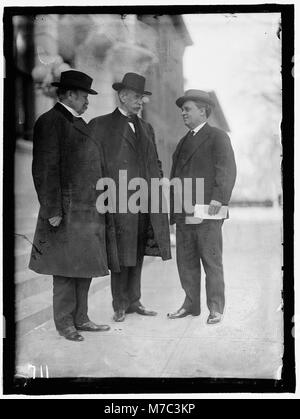 DEMOCRATIC National Committee. Gouverneur BENTON McMILLIN von Tennessee. VERTRESS von Tennessee. WREY WOODSON LCCN 2016863524 Stockfoto