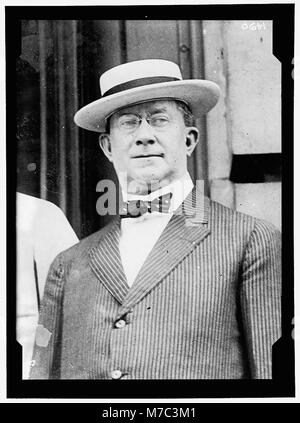 DEMOCRATIC NATIONAL CONVENTION. CHARLES F. MURPHY von TAMMANY HALL LCCN 2016863908 Stockfoto