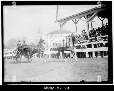 Ein Foto, das die Beiträge von John Roll McLean in einer Pferdeschau aufnimmt und seine Teilnahme an Reitwettbewerben zeigt. Das Bild spiegelt die Bedeutung von Pferdeshows in der amerikanischen Sportkultur wider. Stockfoto