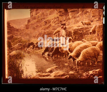 Satz von dreizehn wählen Sie Folien von Hirten leben, die die Xxiii. Psalm. "Er erquicket meine Seele' LOC 14916 matpc. Stockfoto