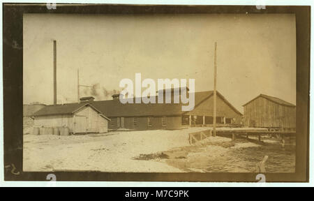 Dunbar & Dukate oyster Cannery. Nach dem Zeugnis einer Anzahl der Eltern und Kinder, dieses Werk kehrt die Kinderarbeit Gesetz seinen eigenen Komfort gerecht zu werden, und wahrscheinlich zu nclc 01036 Loc. Stockfoto