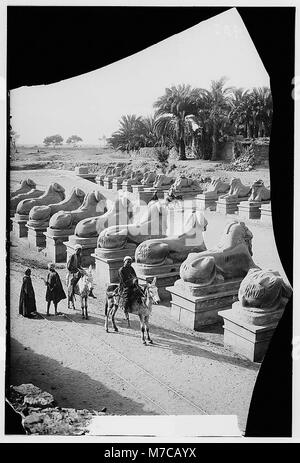 Dieses Bild zeigt den Tempel des Hathor in Karnak, einen der größten und bedeutendsten religiösen Komplexe in Ägypten, mit einer Nahaufnahme der Sphinxe vor dem ersten Pylon. Stockfoto