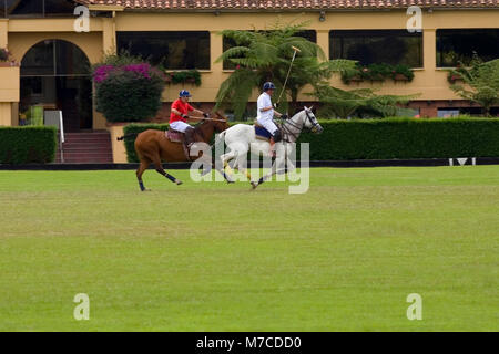 Zwei Spieler spielen Polo Polo Stockfoto