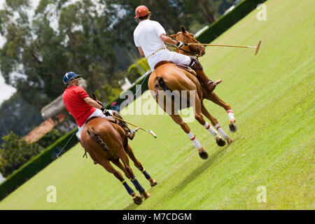 Ansicht der Rückseite zwei Spieler spielen Polo Stockfoto