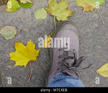 Herbst, Herbst, Blätter, Beine und Schuhe. Konzeptionelle Bild des Beines in der Schuh auf der Blätter im Herbst. Füße Schuhe Wandern in der Natur. Stockfoto