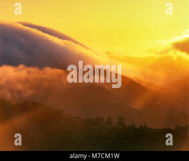 Sonnenuntergang über Kirche Creek, Ventana Wilderness, Los Padres National Forest, Big Sur, Monterey County, Kalifornien Stockfoto