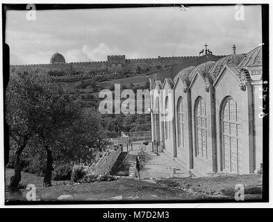 Dieses Bild zeigt das Äußere der Kirche aller Nationen, die sich im Garten Gethsemane in Jerusalem befindet. Die Kirche ist eine bedeutende christliche Stätte, die mit den Gebeten Jesu vor seiner Kreuzigung verbunden ist. Stockfoto