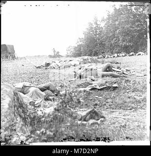 Gettysburg, Pa Confederate dead gesammelt für die Beerdigung am Rand der Rose Woods, 5. Juli 1863 LOC cwpb. 00883 Stockfoto