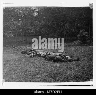 Gettysburg, Pennsylvania. (Confederate dead, Aussicht am Rand der Rose Woods, 5. Juli 1863) LOC cwpb. 00866 Stockfoto