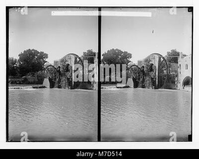 Hama (hamath). Doppel Wasserrad LOC matpc.02153 Stockfoto