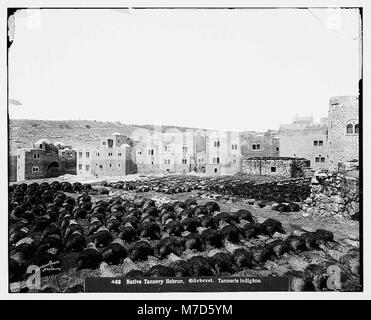 Dieses Bild zeigt den traditionellen Prozess der Bräunung von Häuten für Wasserflaschen in Hebron (El-Khalil), einer historischen Stadt in den Palästinensischen Gebieten. Das Foto zeigt ein altes Handwerk, das seit Generationen praktiziert wird. Stockfoto
