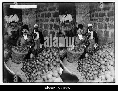 Jaffa orange Kultur. Einstufung orangen LOC 04988 matpc. Stockfoto