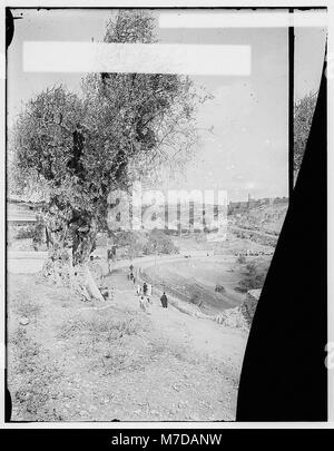 Dieses Foto zeigt die erste Ansicht von Jerusalem aus dem Süden und hebt wichtige Sehenswürdigkeiten hervor, wenn sich die Stadt nähert. Jerusalem, eine historisch bedeutsame religiöse Stätte, wird von einem Aussichtspunkt dargestellt, der seine heilige und kulturelle Bedeutung einnimmt. Stockfoto