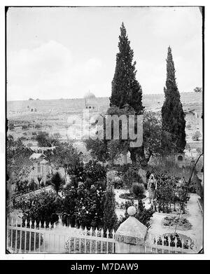 Jerusalem (El-Kouds). Garten Gethsemane, Innenraum LOC 06696 matpc. Stockfoto