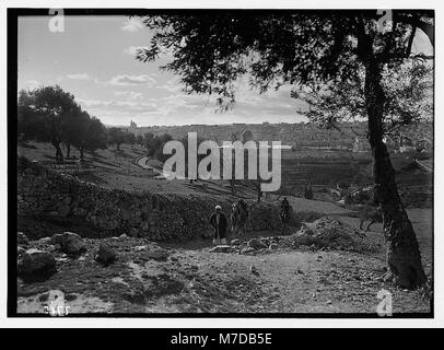 Jerusalem von den Pisten von Olivet (Kamel, den Hügel hinauf) LOC 03610 matpc. Stockfoto