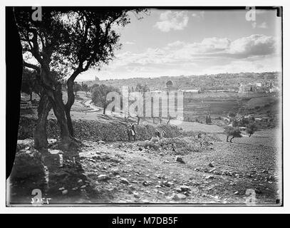 Jerusalem von den Pisten von Olivet (Kamel, den Hügel hinauf) LOC 03611 matpc. Stockfoto