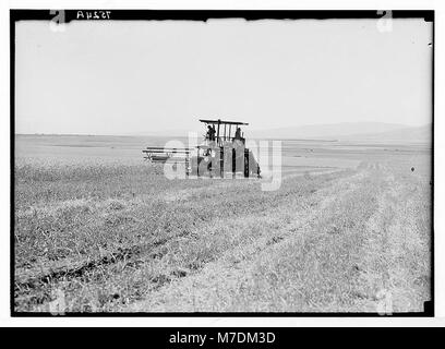 Eine moderne Erntemaschine in Aktion auf der Ebene von Esdraelon, Israel, am 26. Mai 1935. Auf dem Foto werden landwirtschaftliche Fortschritte und die Landschaft der Region hervorgehoben. Stockfoto