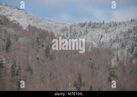 Auf dem Weg nach Siebenbürgen aus Bukarest, Rumänien Stockfoto