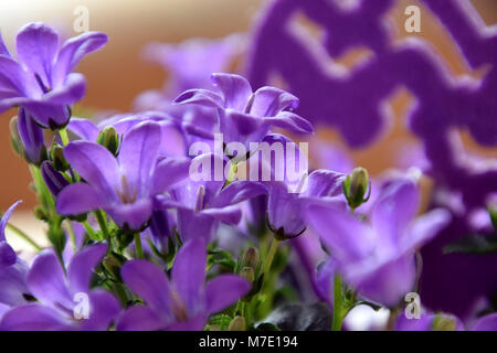 Ostern Dekoration und rosa gefärbte Glockenblumen Stockfoto