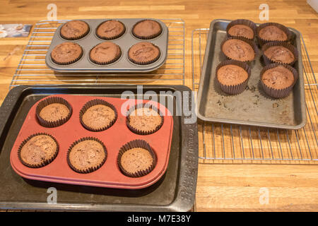 Muffinbackblech Stockfoto