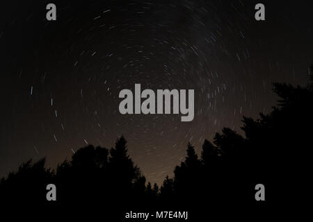 Spuren der Sterne im Himmel mit Baum Silhouetten Stockfoto