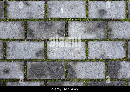 Grau terrasse Steine mit grünen Pflanzen in der Mitte wächst Stockfoto