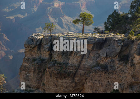 Blick über Bright Angel Trail vom Beginn der Einsiedler Straße, Grand Canyon South Rim, Arizona, USA Stockfoto