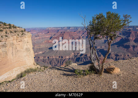 Grand Canyon Blick von Maricopa Point, Einsiedler Straße, Grand Canyon, Arizona, USA Stockfoto