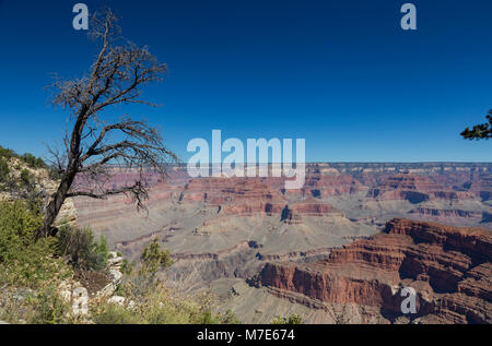 Grand Canyon Blick vom Monument Creek Vista, Arizona, USA Stockfoto