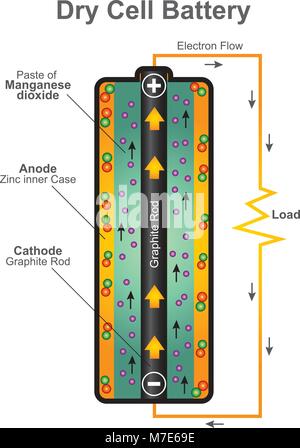 Chemische Zelle verwendet eine Paste Elektrolyt, mit nur genug Feuchtigkeit, um Strom zu fließen. Strom Vektor Grafik Design. Stock Vektor