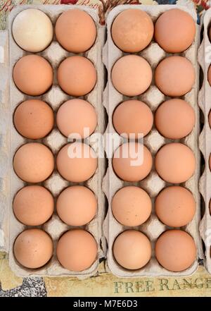 Mehrere Eierkartons des Bauernhofes - Frische braune Eier auf dem Bauernmarkt in San Diego, Kalifornien, USA Stockfoto