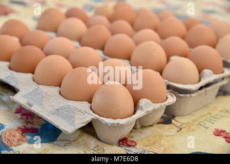 Mehrere Eierkartons des Bauernhofes - Frische braune Eier auf dem Bauernmarkt in San Diego, Kalifornien, USA Stockfoto