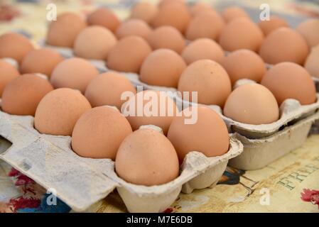 Mehrere Eierkartons des Bauernhofes - Frische braune Eier auf dem Bauernmarkt in San Diego, Kalifornien, USA Stockfoto