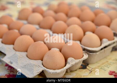 Mehrere Eierkartons des Bauernhofes - Frische braune Eier auf dem Bauernmarkt in San Diego, Kalifornien, USA Stockfoto