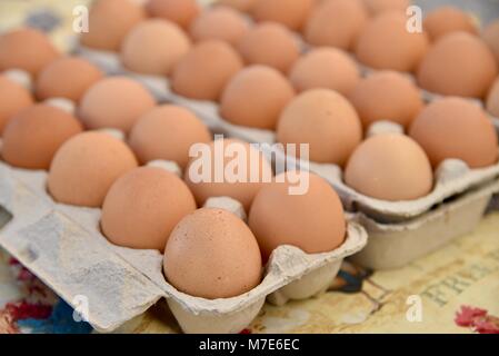 Mehrere Eierkartons des Bauernhofes - Frische braune Eier auf dem Bauernmarkt in San Diego, Kalifornien, USA Stockfoto