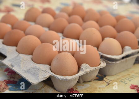 Mehrere Eierkartons des Bauernhofes - Frische braune Eier auf dem Bauernmarkt in San Diego, Kalifornien, USA Stockfoto